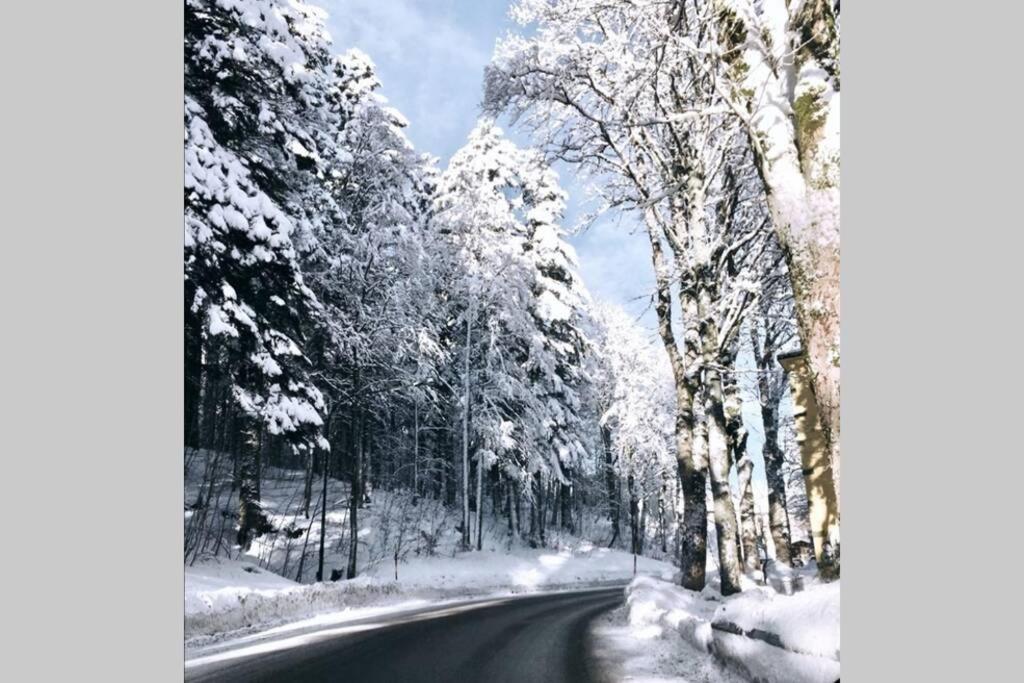 Val Di Luce Home アベトーネ エクステリア 写真